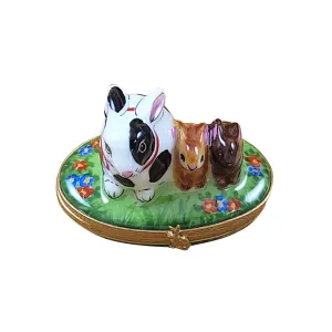 Spring Rabbit Family Limoges Collectible Boxes Rare Find
