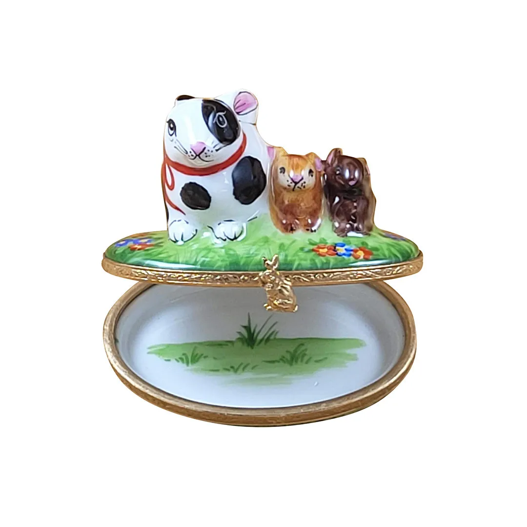 Spring Rabbit Family Limoges Limoges Boxes collectors shop