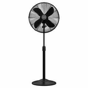 Stand Fan in Matte Black Portable/Table/Wall Fans discount store