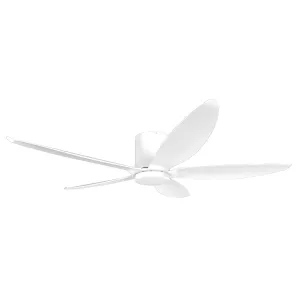 STARASON  48/56 DC CEILING FAN WITH LIGHT Smart Fans Energy Saver