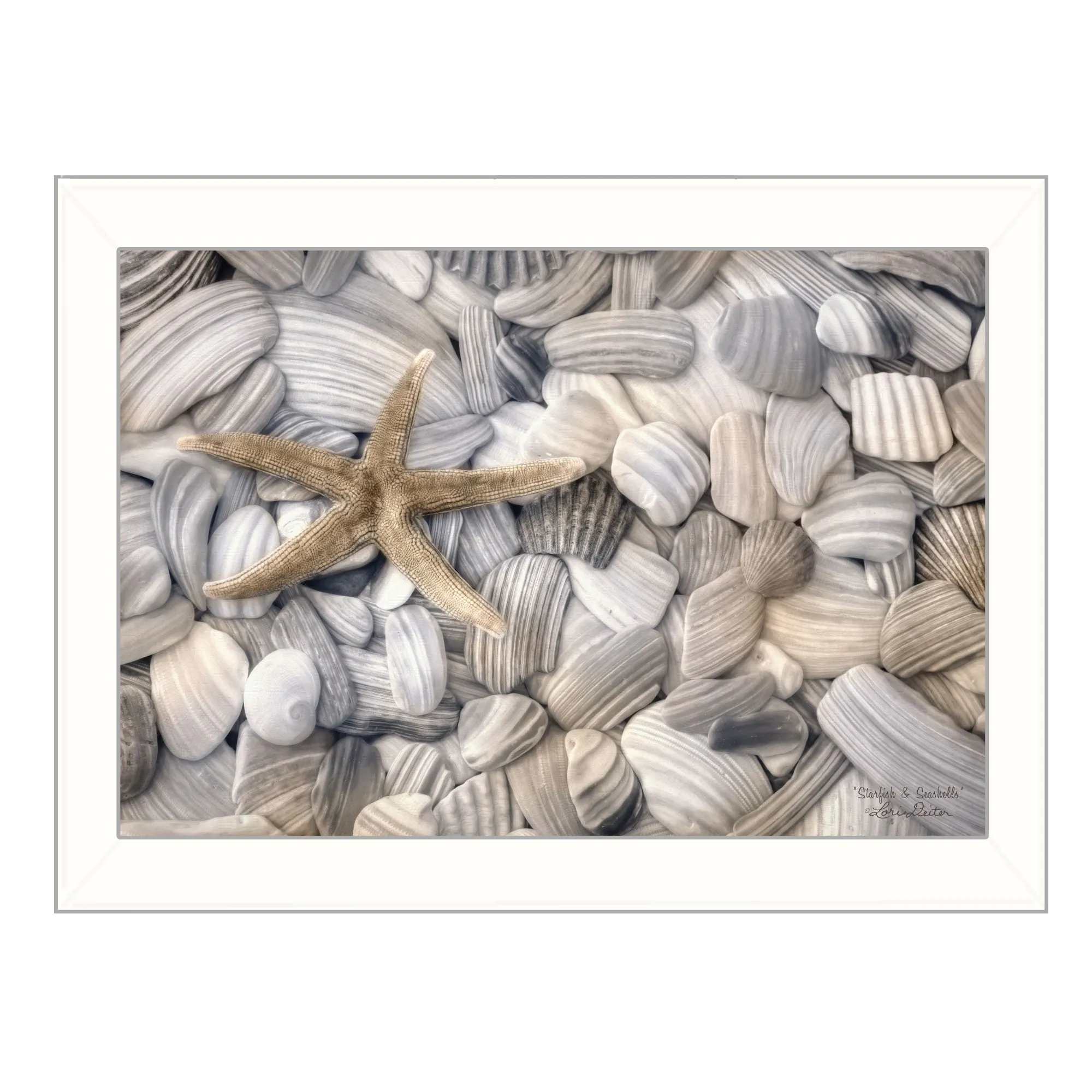 Starfish and Seashell 2 White Framed Print Wall Art Cheap Wall Mirrors & Decor
