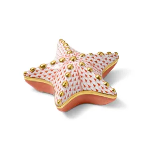 Starfish Box, Rust Jewelry Trays Organizer Pack