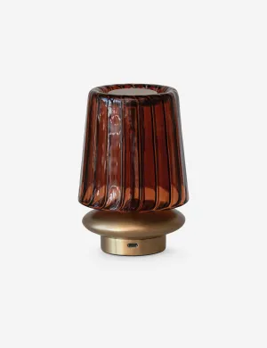 Takada Mini Cordless Table Lamp Desk Lamps  Discounted Today!