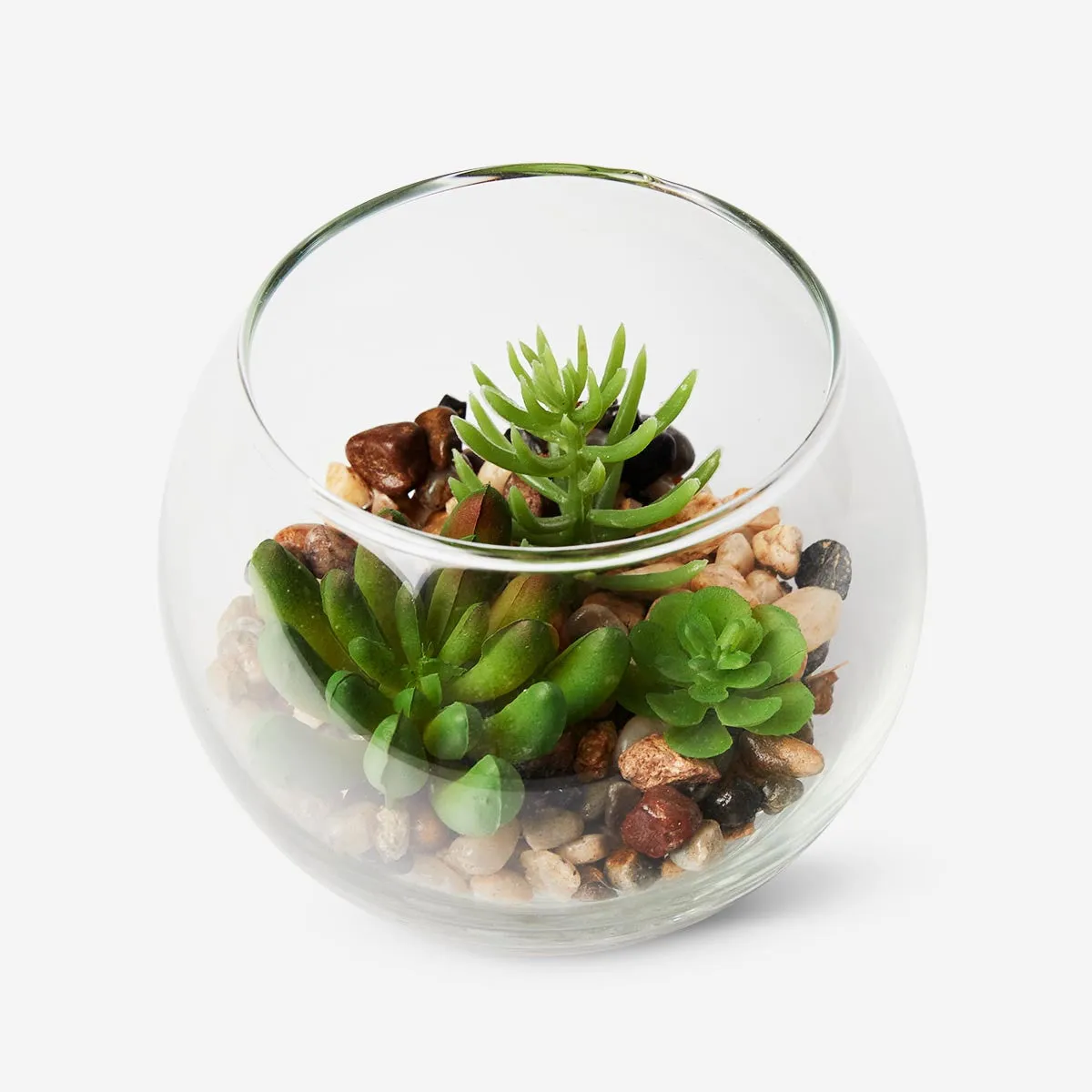 Terrarium