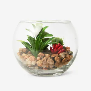 Terrarium Home Decor clearance sale