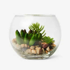 Terrarium Home Decor clearance sale