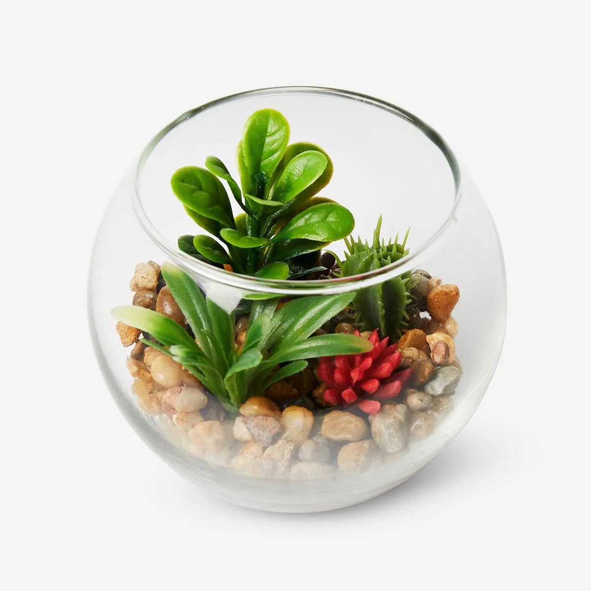 Terrarium