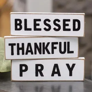Thankful Mini Block 3 Asstd. Decorative Accessories ON SALE