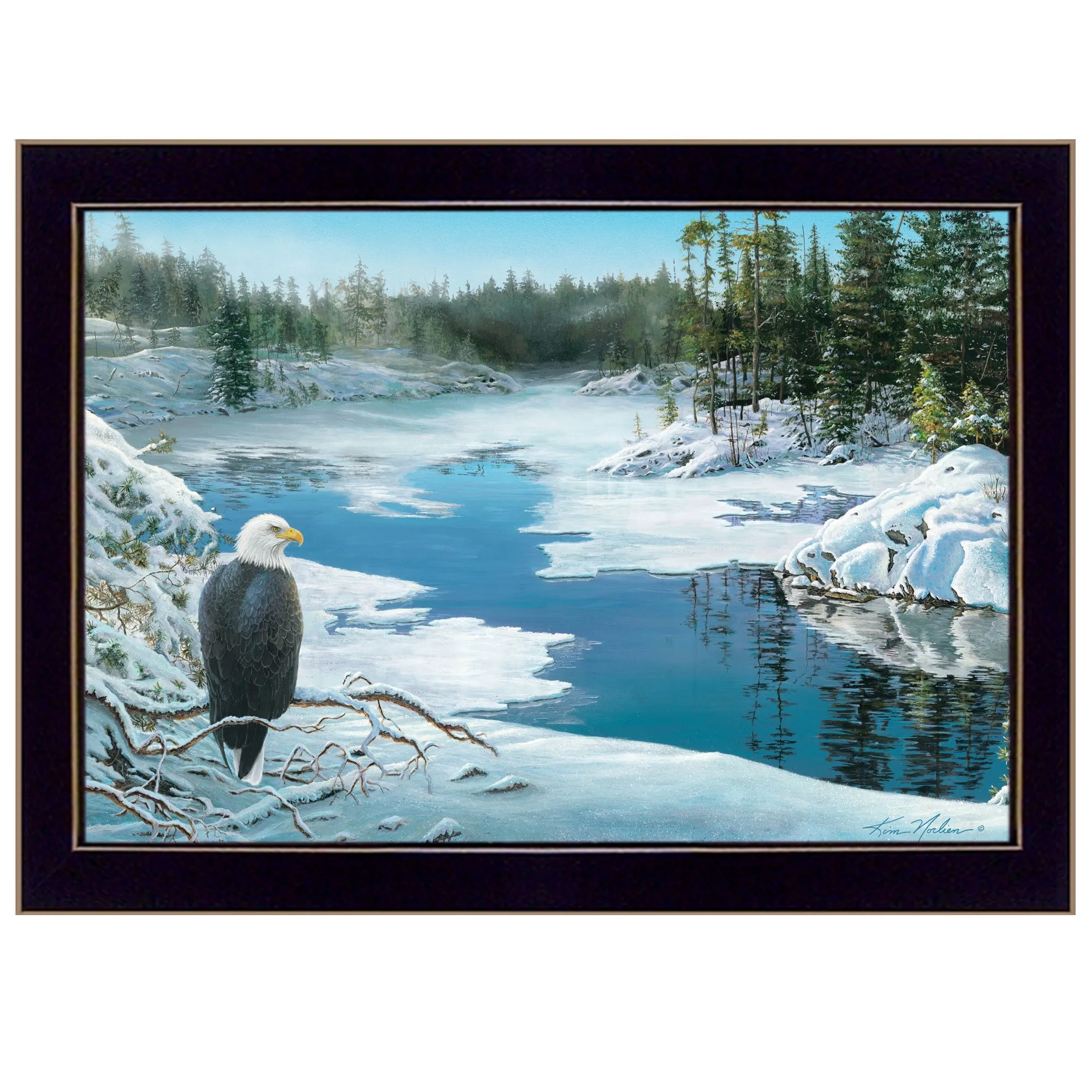 The Lookout 1 Black Framed Print Wall Art Modern Wall Accents store