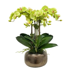 Trem Chartreuse Orchids Artificial Flowers Spring Refresh