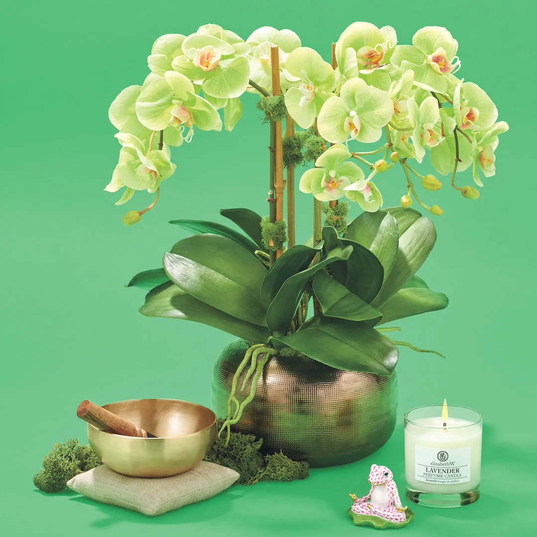 Trem Chartreuse Orchids Faux Florals Wreaths hot price