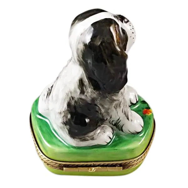 Tri-Color King Charles Spaniel Limoges Limoges Boxes collectors shop