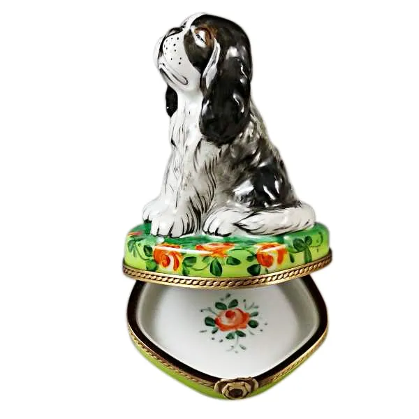 Tri-Color King Charles Spaniel Limoges Limoges Boxes collectors shop