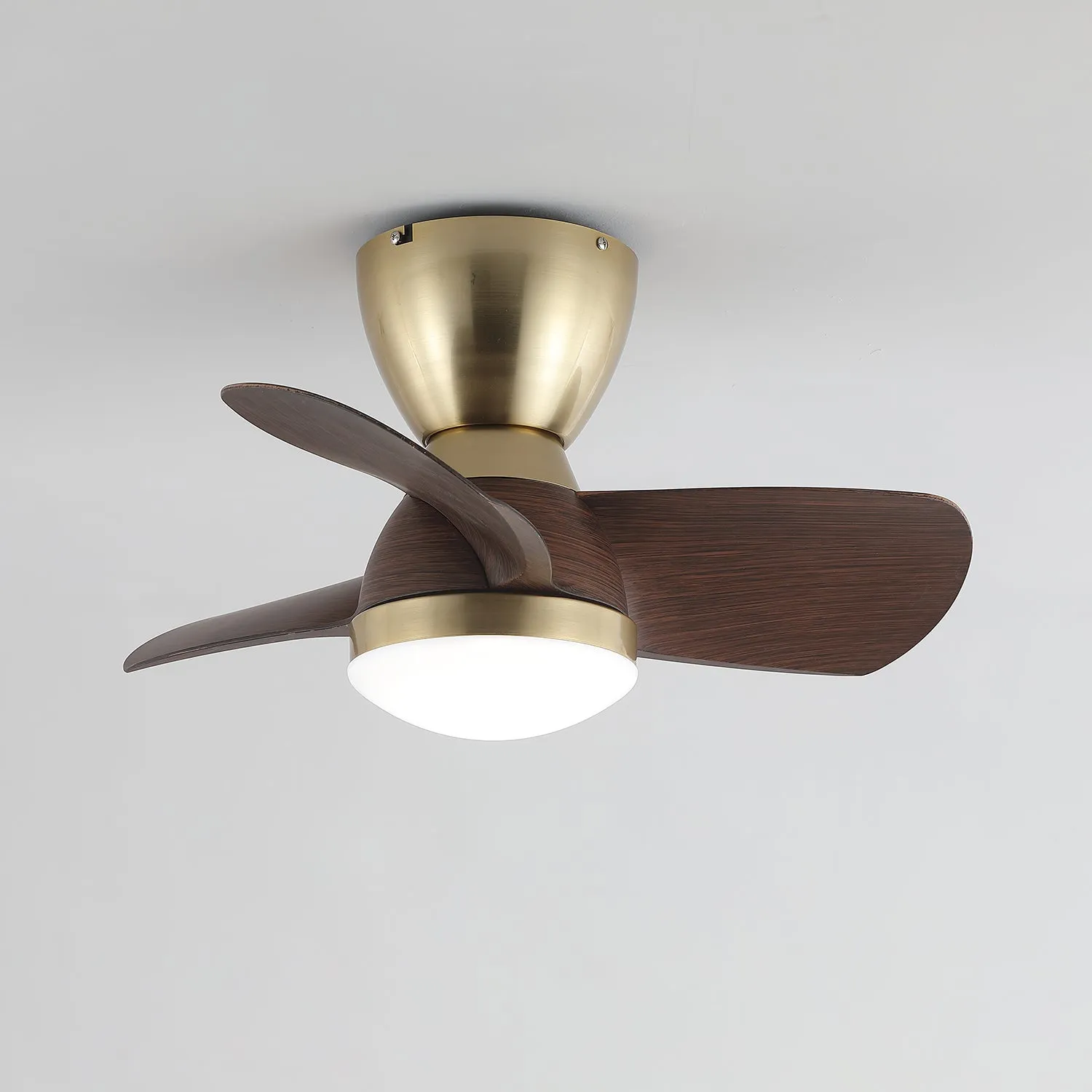 Velis Ceiling Fan Light