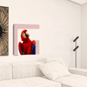 Vibrant And Vivid Bird Unframed Print Wall Art Decorative Accessories value pack