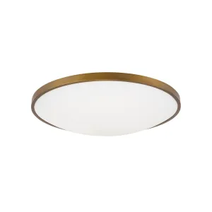 Visual Comfort Modern LED Flush Mount Low Ceiling Lights sale