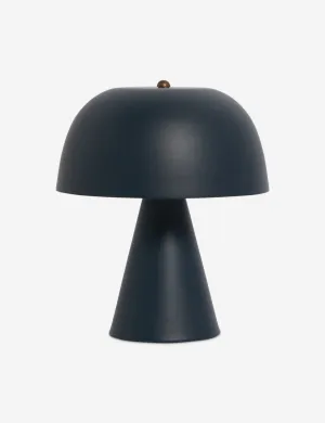 Wembley Cordless Table Lamp Desk Lamps  Discounted Today!