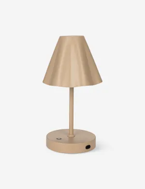 Wickham Mini Cordless Table Lamp Desk Lamps  Discounted Today!