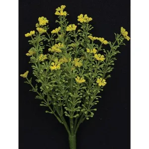 Yellow Astilbe Bush 10.5" Budget Holiday Home Finds